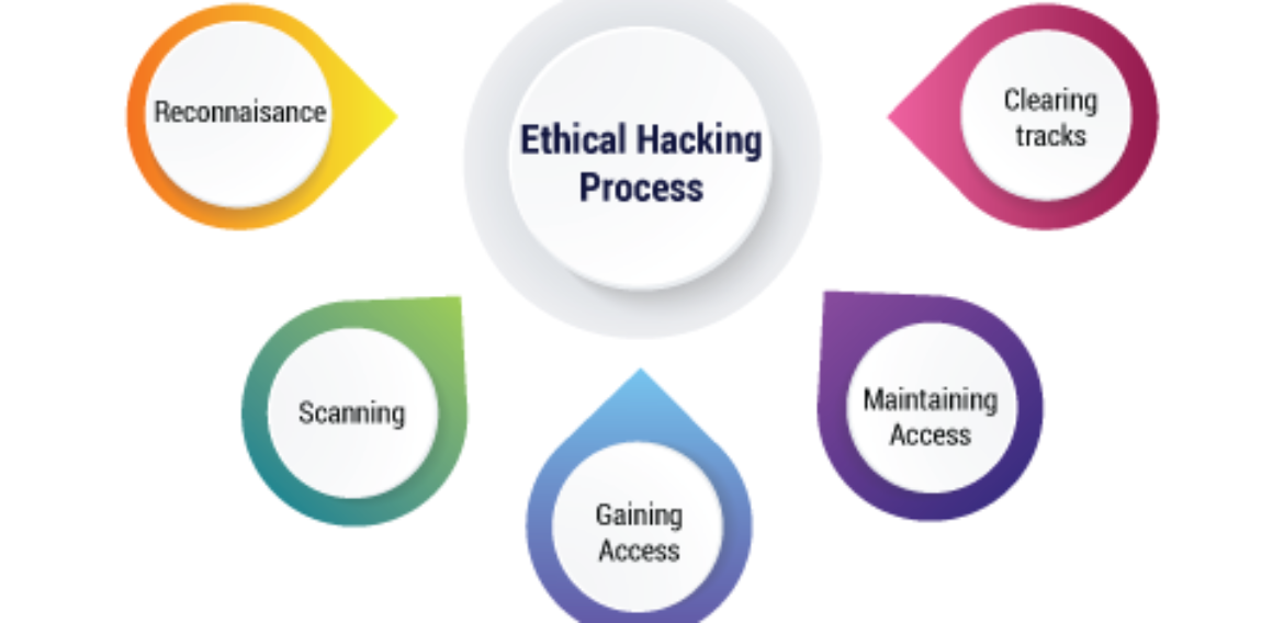 Ethical Hacking Phases